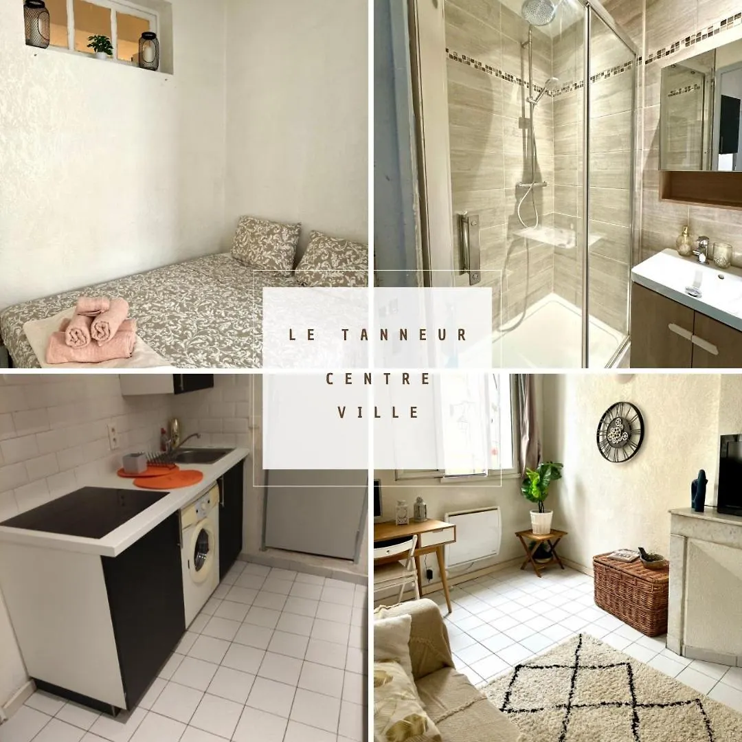 Le Tanneur- Grand Studio 38M2 En Centre-Ville Aix-en-Provence France